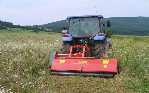 KB 303 szárzúzó