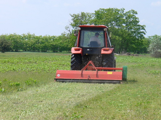 KB 303 típusú szárzúzó